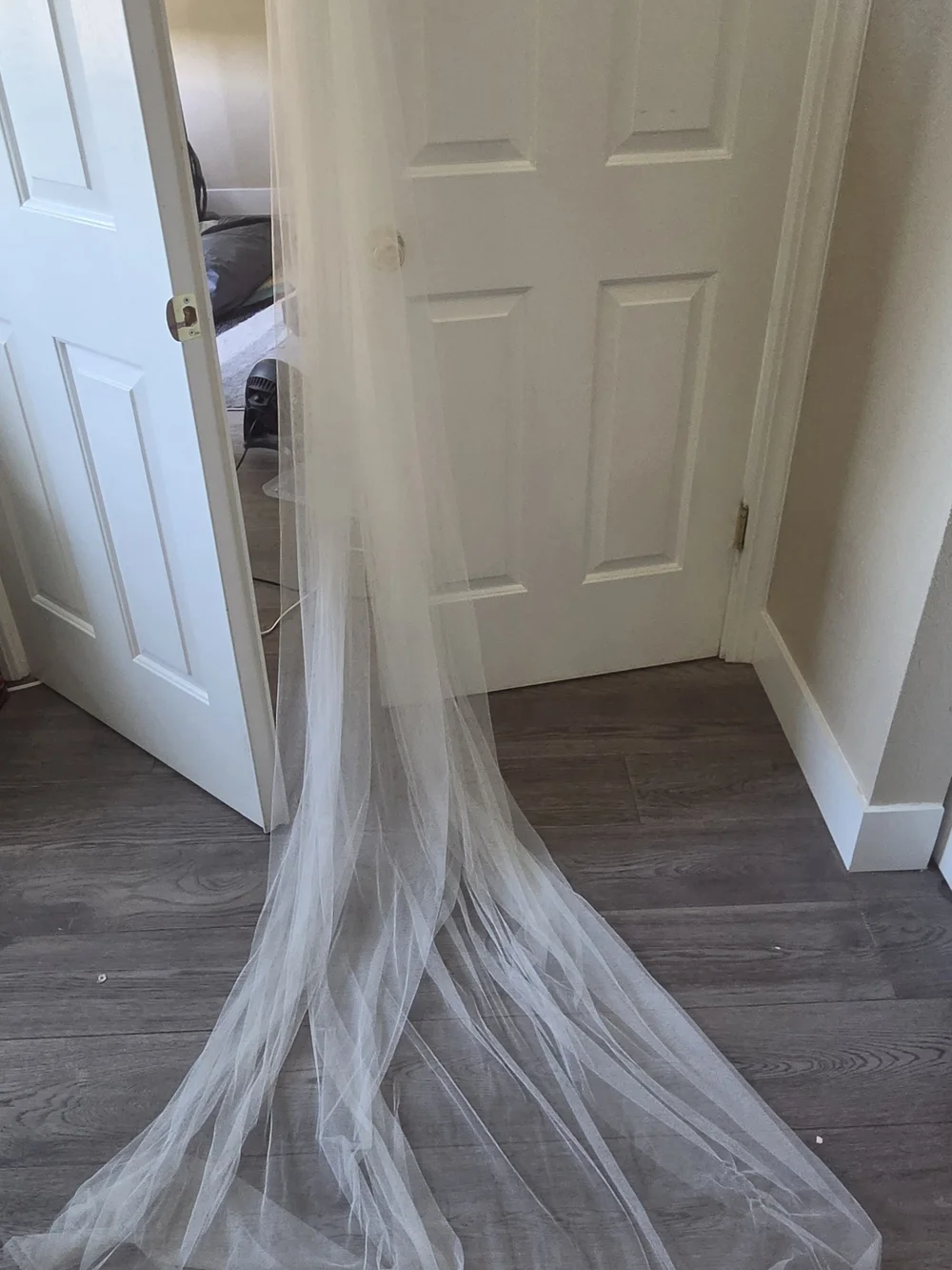 Sheer White Floor-Length, Cathedral Wedding Veil